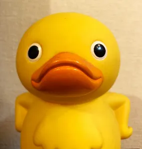 がーこちゃん