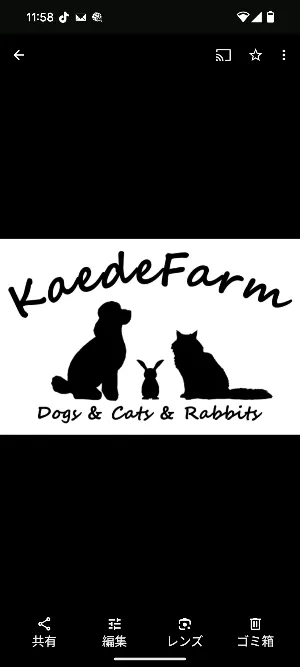 カエデファーム＠トリマー＆犬猫ブリーダー