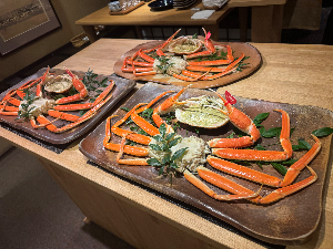 スコッティ@東京で薬局経営