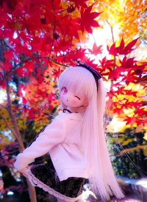 タク@高配当株投資＆写真家