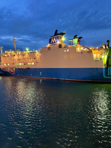 安藤@せどり挑戦中