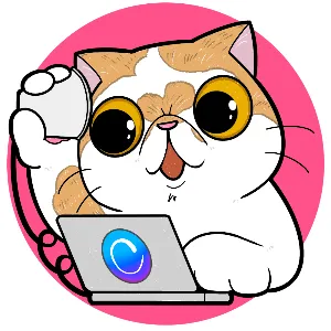 おこめ@猫部管理人🐱