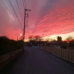 もくもく
