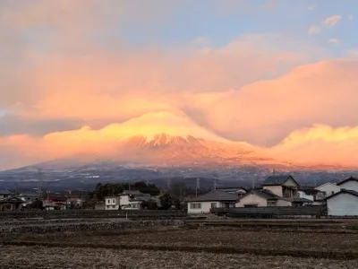富士山麓の米農家　新米予約開始10月発送