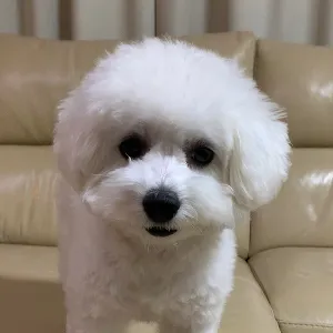 のりちゃん