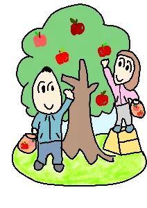 ももりん@果樹農家見習い🍑🍎