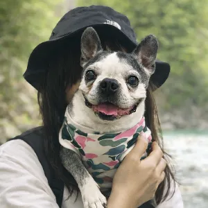 くろまめ
