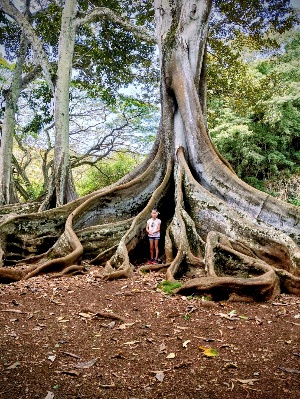 ユーザーアイコン