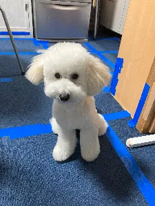あんみ