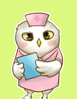 めぐりん♪在宅支援Ns