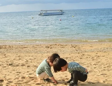 おすぎさん
