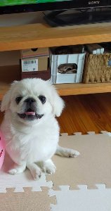 ししまる＠公務員