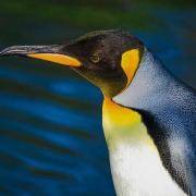 なつ＠障がい者グループホームの運営