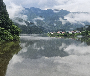 あゆ@薬剤師×副業挑戦中