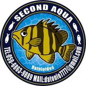 お魚の保護施設の熱帯魚屋@とみ〜