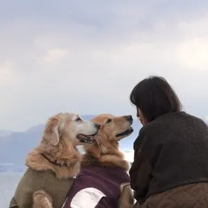 わんわんEnglish♡