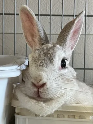 ユウスケ