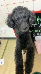 なっちゃん