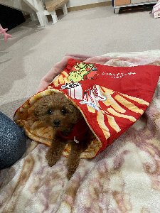 つ〜ぼ〜
