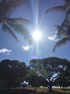 セロー  アパレルせどり勉強中