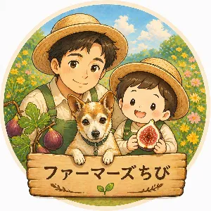 ファーマーズちびの父！イチジク予約販売中