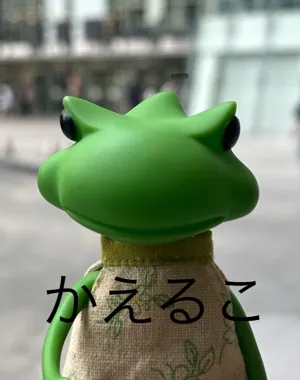 Kaeruco