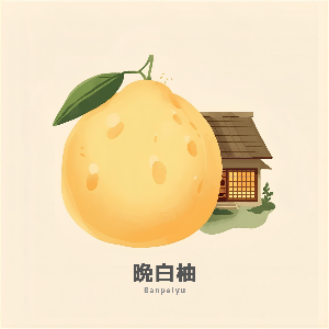 やすこ@築古大屋/ばんぺいゆ🍊販売中