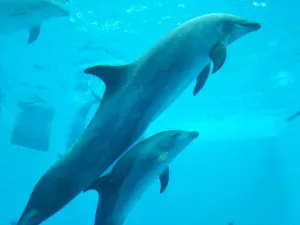 るんるん