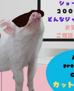 sanjinoマミー@民泊