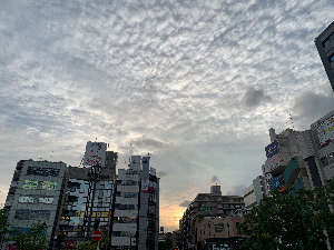 菅野翼