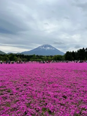 ウラチャチャオンマ