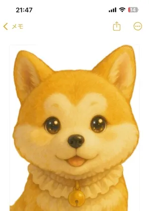 chi-ko ちーこ