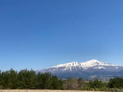 ナーヤ