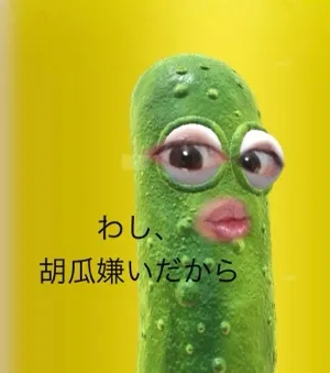キヨミん🍉旅せどり🍉오이가 싫어요 