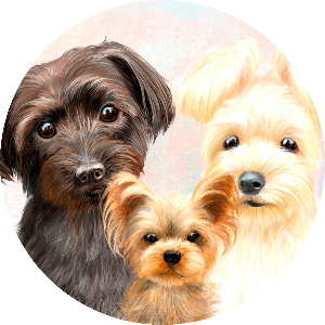 むぎたん@神の目を手に入れたい鍼灸整体師