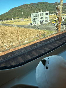 看護師あずき@ライティング挑戦中