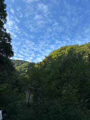 ゆなきわ@