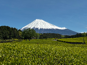 よっしー@SASUKE出場経験者💪