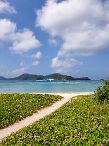 サエ@副業探し中