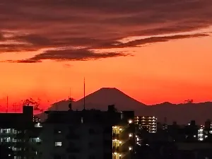 ふみふみ