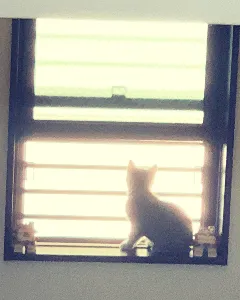 かぜまろ🍃