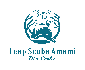 シン＠リープ🏝️奄美ダイビング