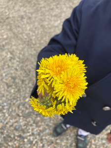 よさき