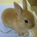 nori@登山・ダイビング