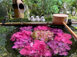 自分と未来