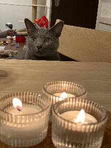 うりのすけ