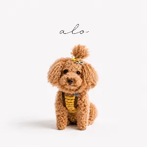 ALOLO@ローズ蒸しサロン