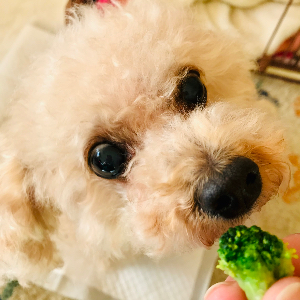 ホップ@只今、1人フェス反省会中😊🔰
