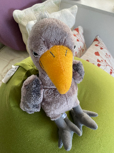 きょん