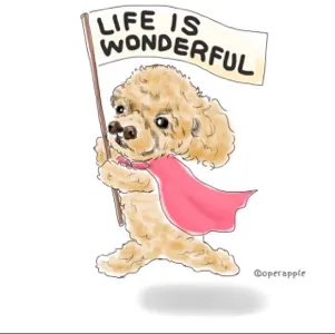 レオン🐶動物保護施設代表
